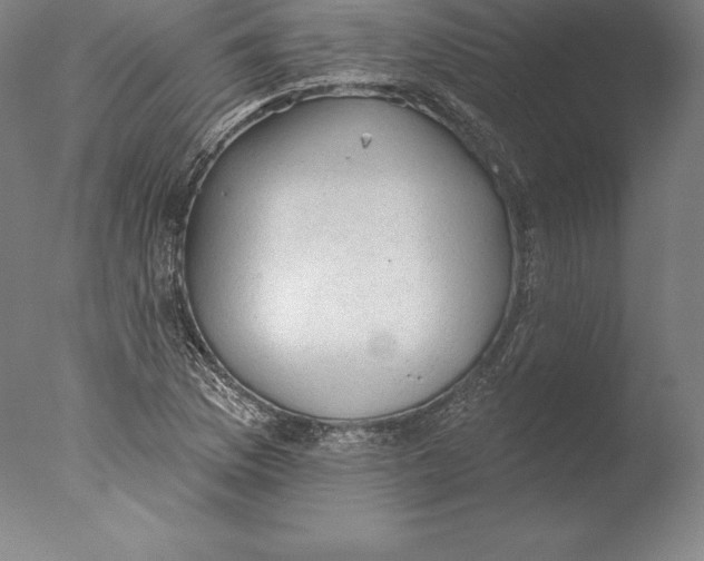 X0000076301169200610201536