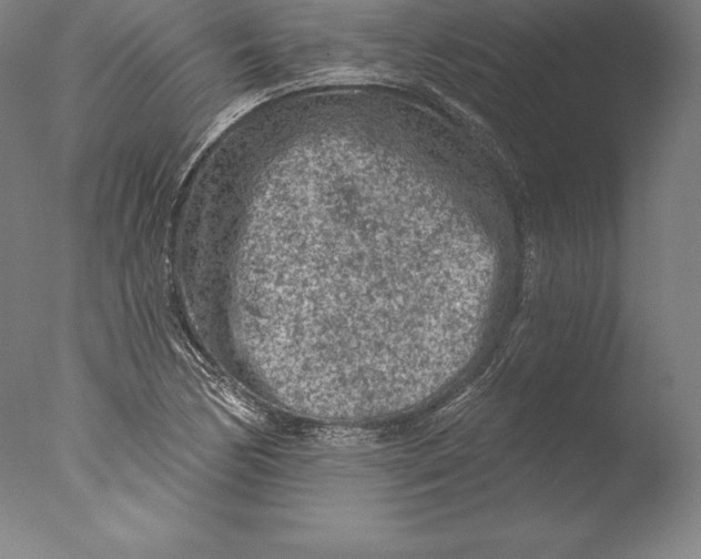 X0000076301170200610201536