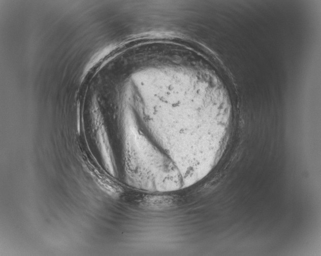 X0000076301171200610201536