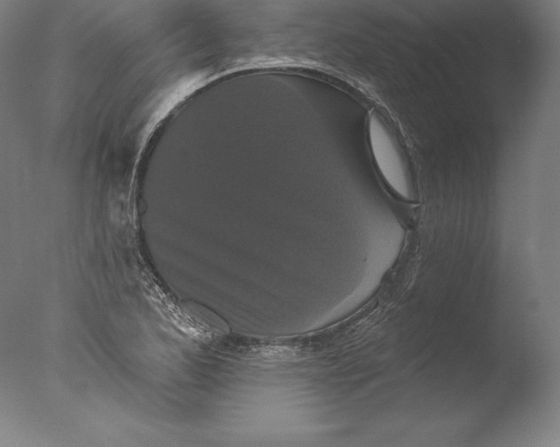 X0000076301173200610201536