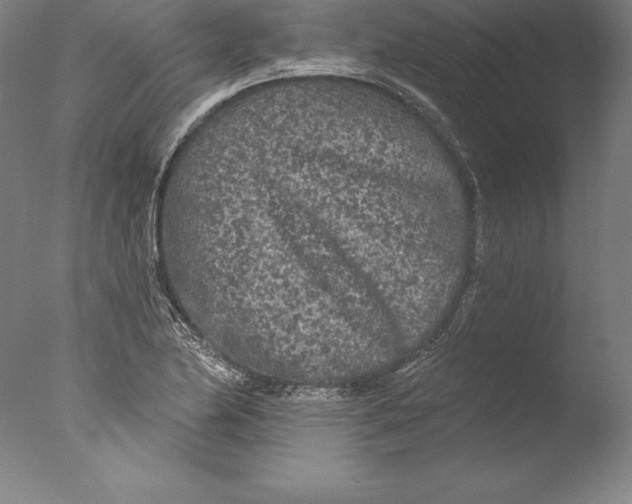 X0000076301174200610201536