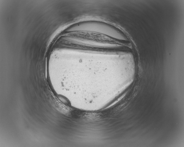 X0000076301175200610201536