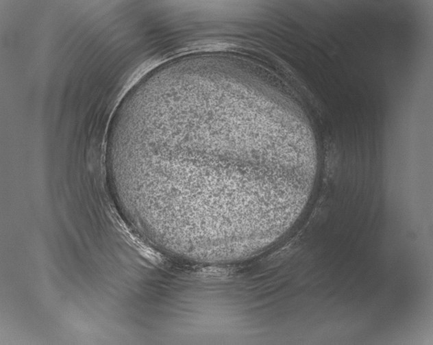 X0000076301178200610201536