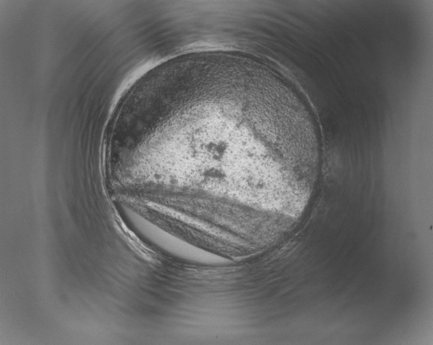 X0000076301179200610201536