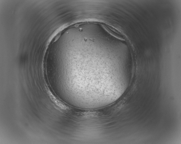 X0000076301181200610201536