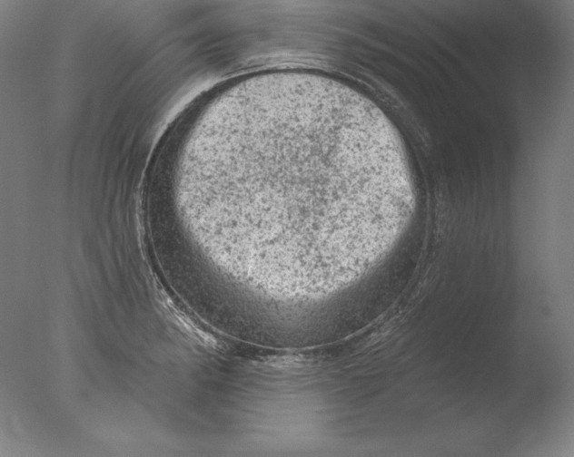 X0000076301182200610201536