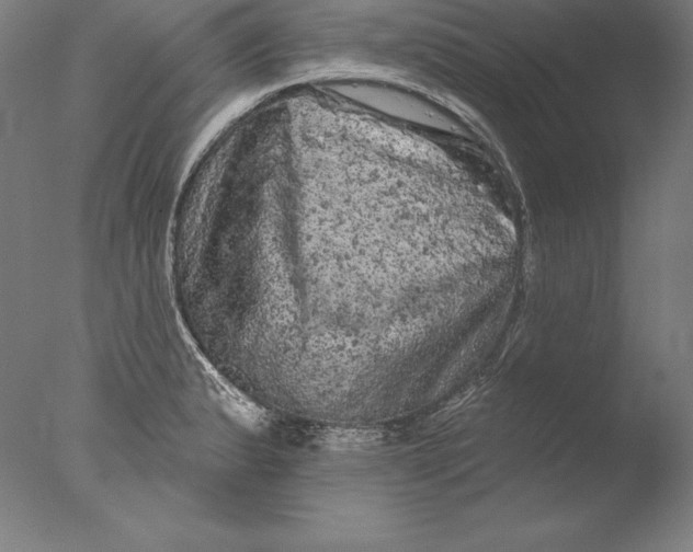 X0000076301183200610201536