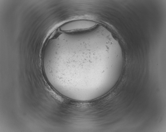 X0000076301184200610201536