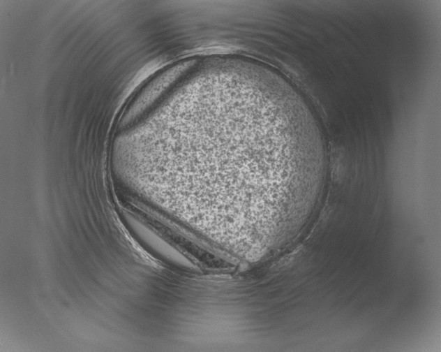 X0000076301186200610201536