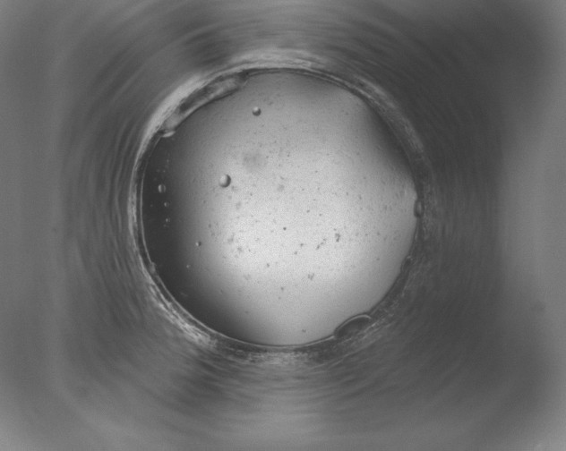 X0000076301188200610201536