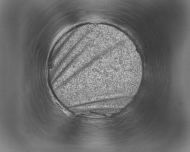 X0000076301191200610201536