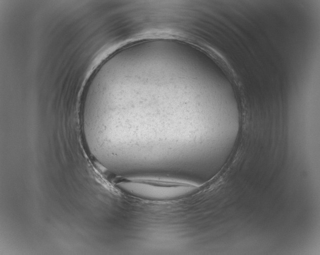 X0000076301192200610201536