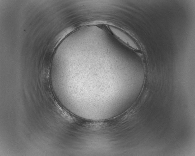 X0000076301193200610201536