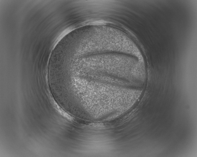 X0000076301194200610201536