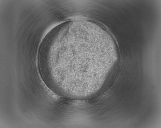 X0000076301195200610201536