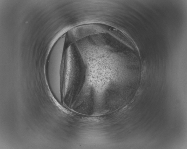 X0000076301197200610201536