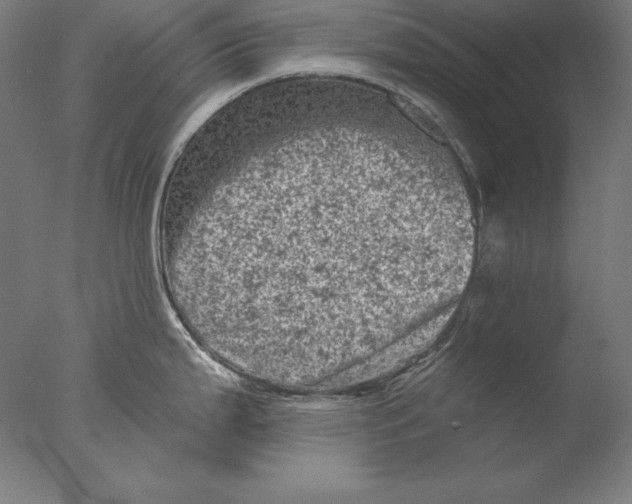 X0000076301199200610201536