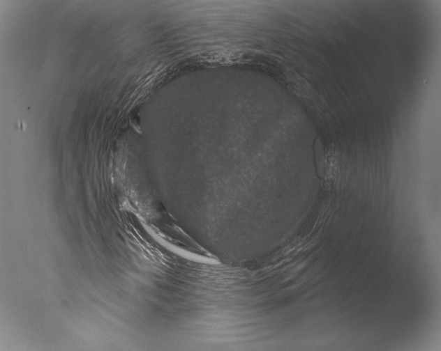 X0000076301202200610201535