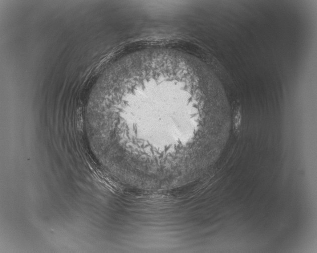 X0000076301204200610201535