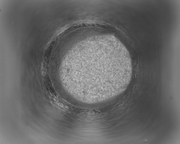 X0000076301207200610201535