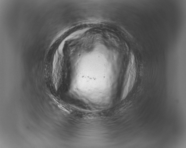 X0000076301208200610201535