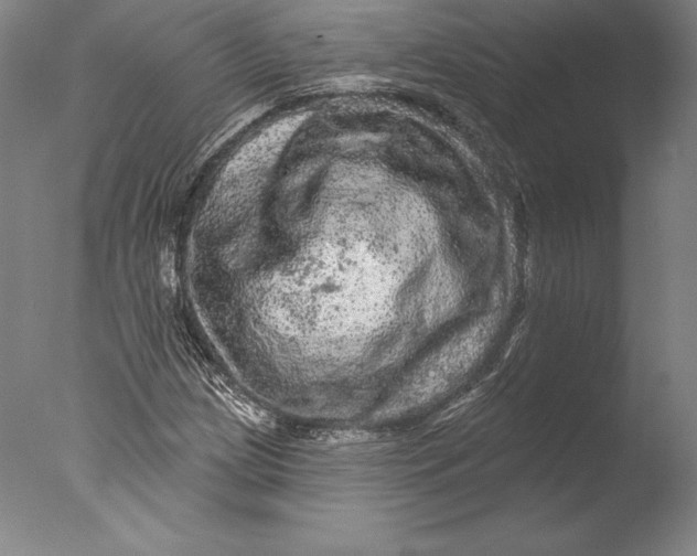 X0000076301209200610201535