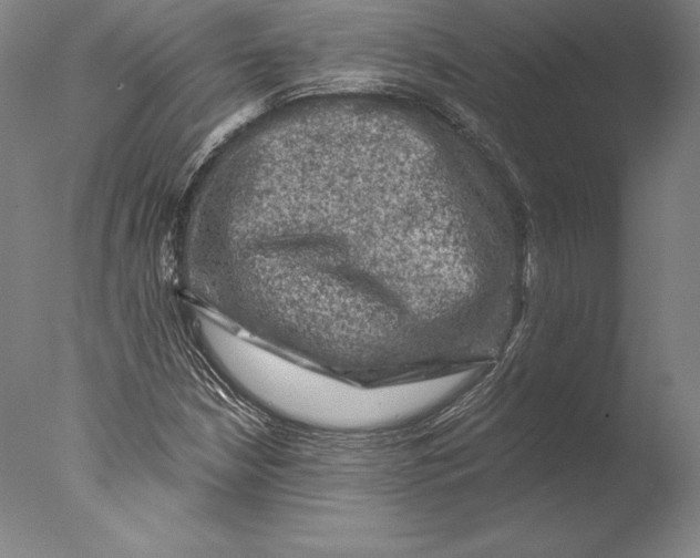 X0000076301210200610201535