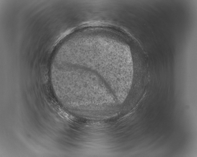 X0000076301213200610201535