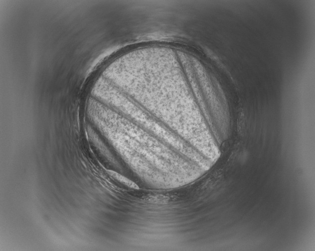 X0000076301214200610201535