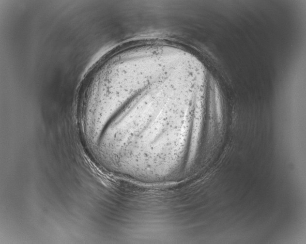 X0000076301216200610201535