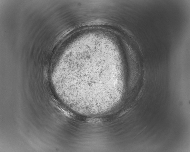 X0000076301217200610201535