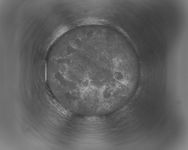 X0000076301219200610201535