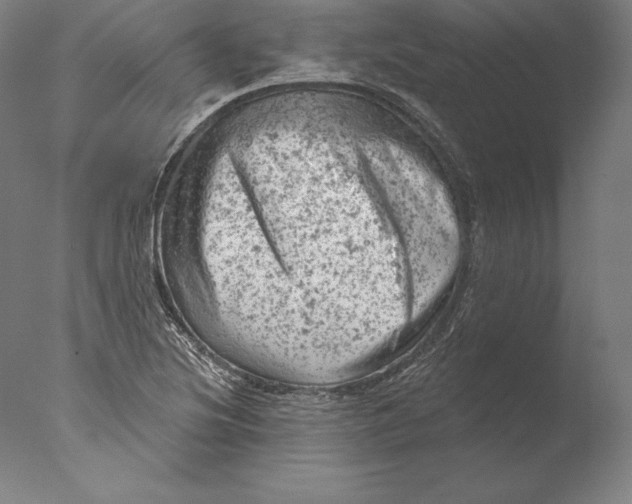 X0000076301220200610201535