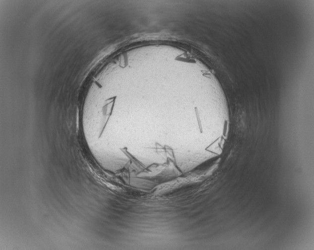 X0000076301221200610201535