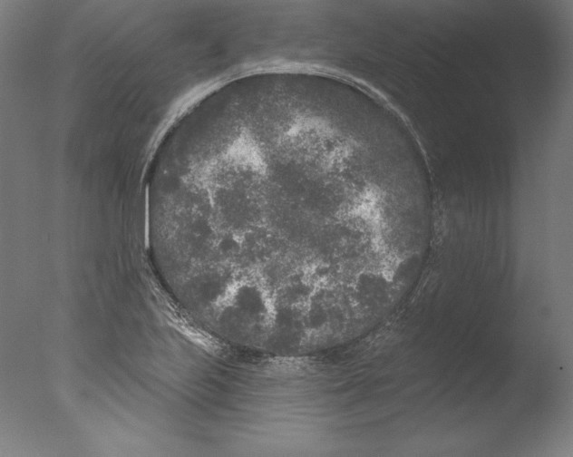 X0000076301223200610201535