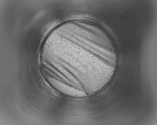 X0000076301224200610201535