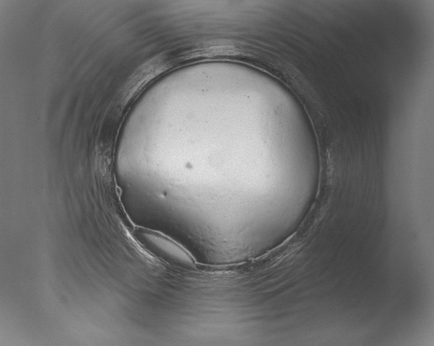 X0000076301225200610201535