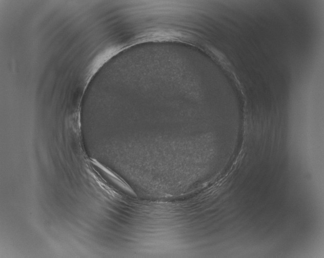 X0000076301226200610201535