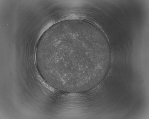 X0000076301227200610201535