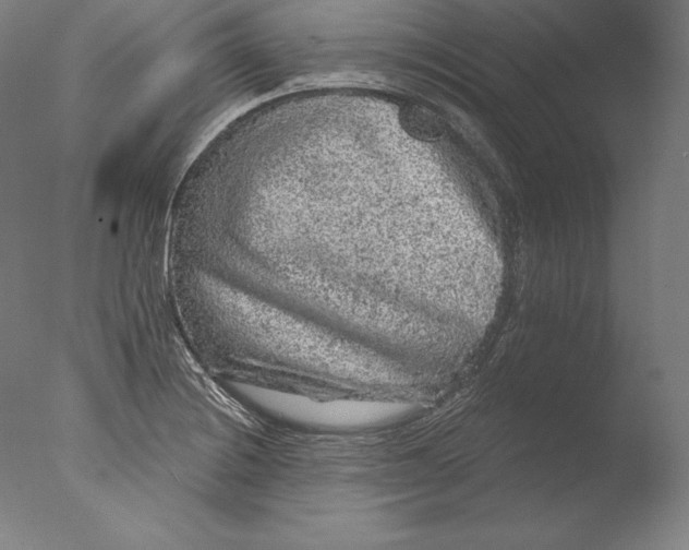 X0000076301228200610201535