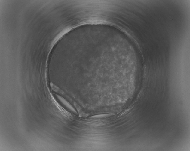 X0000076301229200610201535