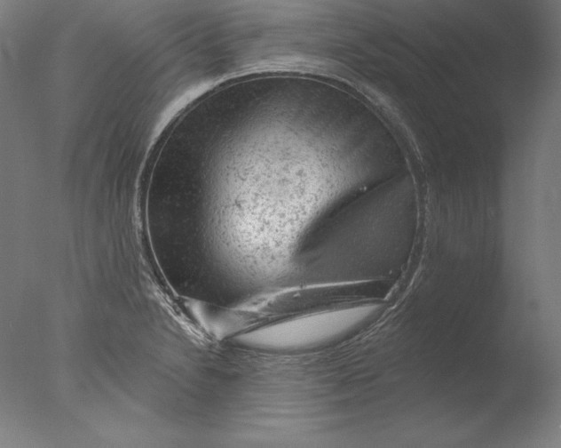 X0000076301230200610201535