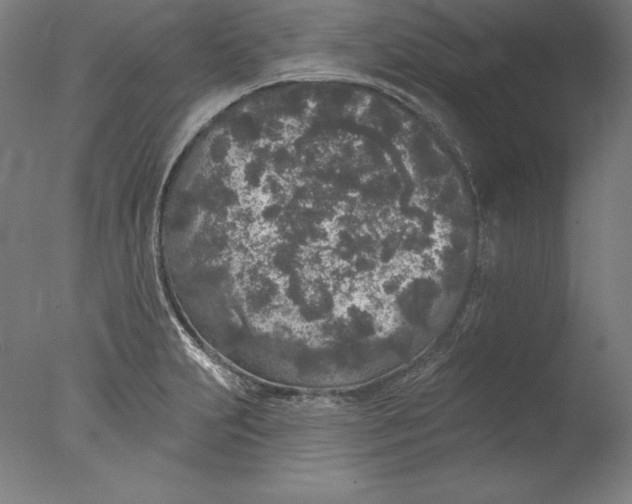 X0000076301231200610201535