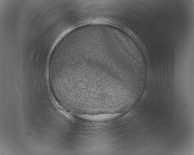 X0000076301232200610201535