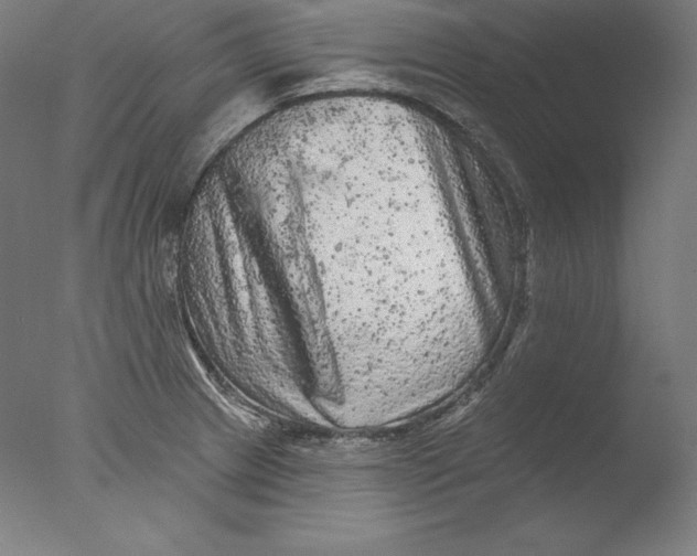 X0000076301233200610201535