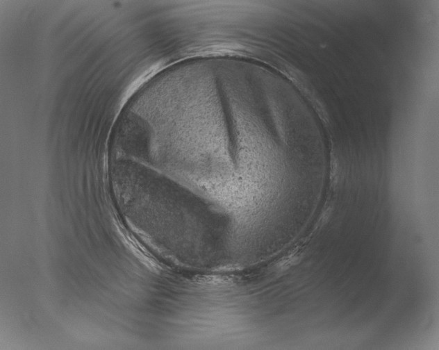 X0000076301234200610201535