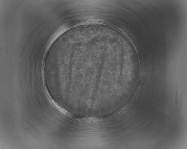 X0000076301235200610201535