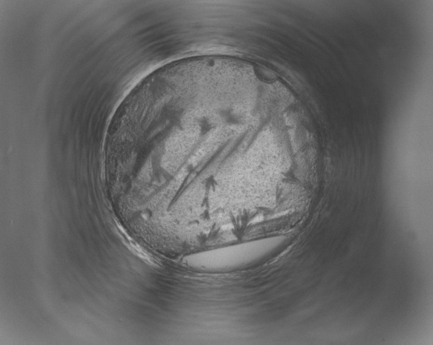 X0000076301236200610201535