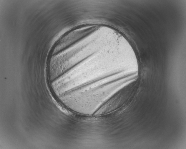 X0000076301237200610201535