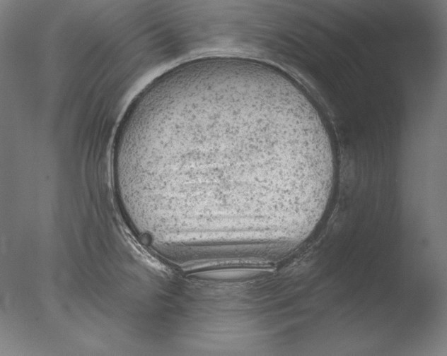 X0000076301238200610201535